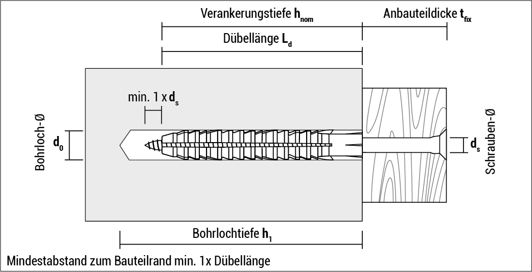 Celo Normaldübel FL 6-60 - 100 St.